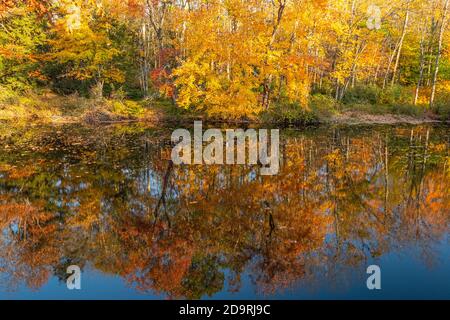 Der Millers River im Birch Hill Dam Gebiet in Royalston, Massachusetts Stockfoto