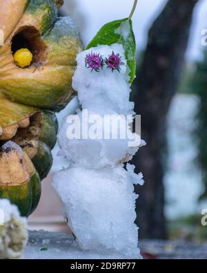 Erster Schnee, geschnitzte dekorative Kürbisse im Garten, ein kleiner Schneemann neben Kürbisdekoren, erster Schnee auf Kürbisdekoren, halloween, Herbstzeit Stockfoto