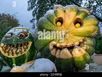 Erster Schnee, geschnitzte dekorative Kürbisse im Garten, erster Schnee auf Kürbisdekoren, halloween, Kürbisdekor, Herbstzeit Stockfoto