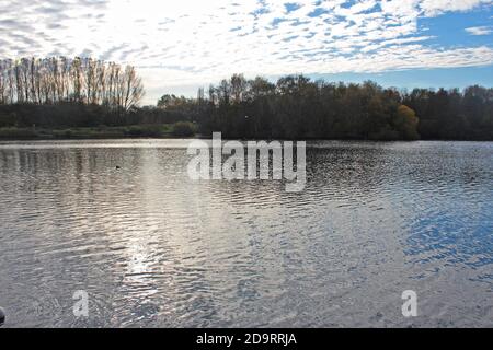 Wunderschöne Landschaft des Chorlton Wasserpark in England, ruhiger großer See, lückenhafte Wolken und Büsche und Bäume an den Ufern Stockfoto