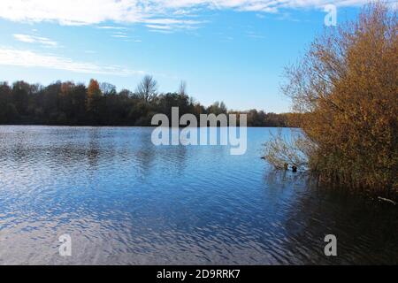 Wunderschöne Landschaft des Chorlton Wasserpark in England, ruhiger großer See, blauer Himmel, Büsche und Bäume an den Ufern Stockfoto