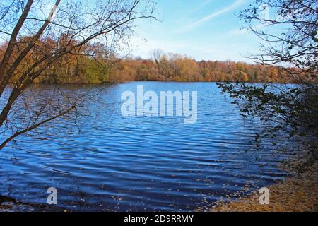 Wunderschöne Landschaft des Chorlton Wasserpark in England, großer blauer ruhiger See, blauer Himmel, Herbstbüsche und Bäume an den Ufern Stockfoto