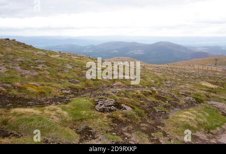 Blick über die Skipisten im Sommer vom Cairn Gorm Cairngorms National Park, Schottland, Großbritannien. Stockfoto