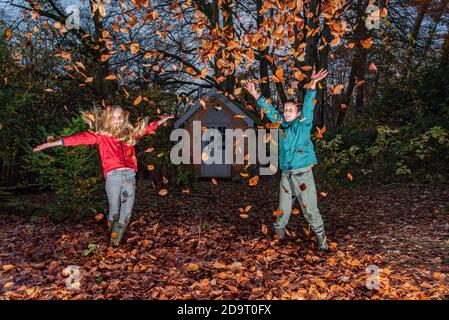 Preston, Lancashire, Großbritannien. November 2020. Spielen mit dem letzten Fall von Buchenblättern in einem Garten in der Nähe von Preston, Lancashire. UK Credit: John Eveson/Alamy Live News Stockfoto