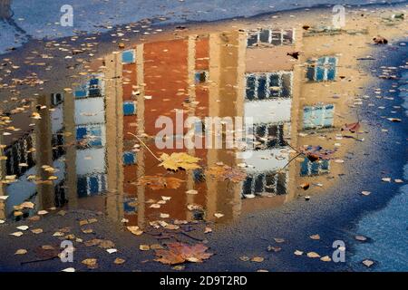 Gebäude spiegelt sich in Pfütze mit gefallenen Blättern Ahorn und Birke Stockfoto