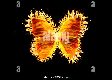 Schöne Feuerschmetterling isoliert auf schwarzem Hintergrund Stockfoto