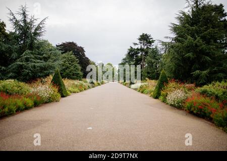 Landschaft Blick auf einen langen Pfad umgeben von Bäumen und Unter einem wolkigen Himmel Stockfoto