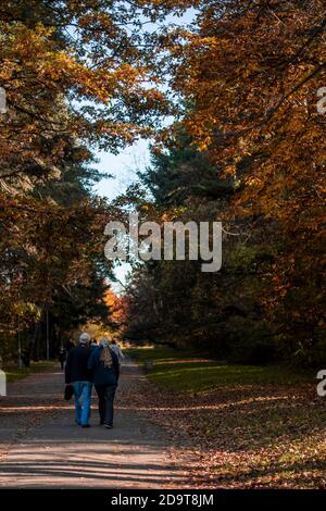 Ein älteres Paar, das in einem Park spazieren geht. Orange Herbstfarben um sie herum. Stockfoto