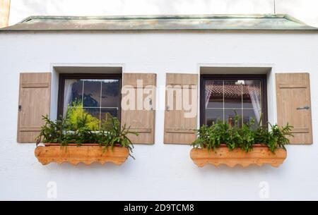 Typisch bayerische oder österreichische Holzfenster mit frischen Tannenzweigen auf Haus in Österreich oder Deutschland dekoriert. Stockfoto