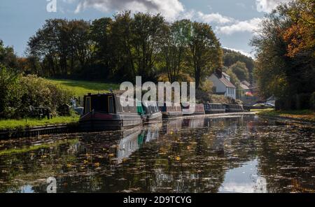 Eine Reihe von schmalen Booten auf einem von Dudley's vielen Kanäle in der Nähe von Stewponey in Stourton mit Herbstfarben Die Bäume und immer noch reflektierendes Wasser bellow Stockfoto