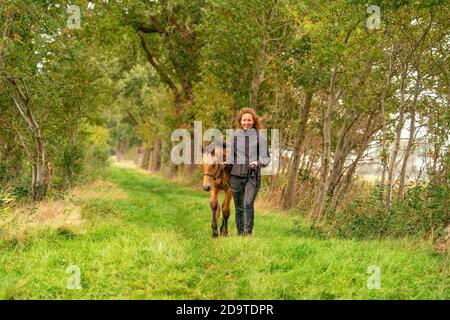 Ein hellbraunes Buckskin-Fohlen, die Besitzerin steht neben dem Hengst Autumn Sun Stockfoto
