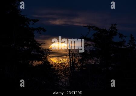 Vollmond aus Esquimalt Lagoon, Victoria, BC, Kanada - Konzept: Mysteriös Stockfoto