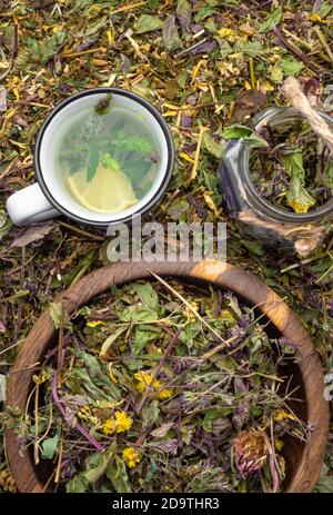 Auswahl an trockenen Heilkräutern und Tee in Tasse mit Zitrone und Minze. Konzept der alternativen Medizin Stockfoto
