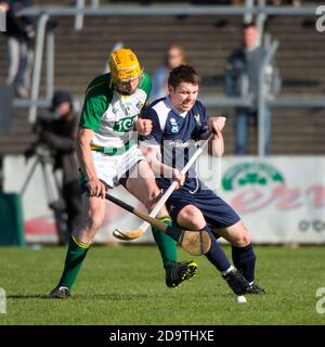 Irland V Schottland, shinty / Hurling international, spielte in Ennis, Co. Clare, Irland Stockfoto