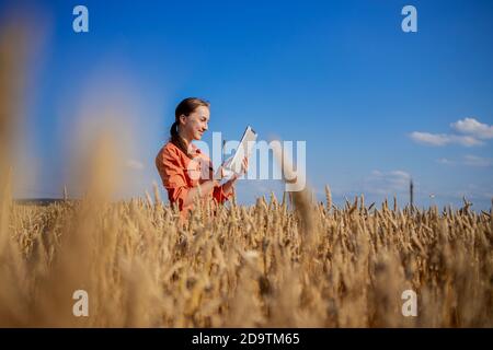 Frau kaukasische Technologin Agronomin mit Tablet-Computer auf dem Gebiet der Weizenprüfung Qualität und Wachstum von Kulturen für die Landwirtschaft. Landwirtschaft Stockfoto