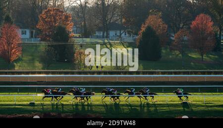 Lexington, Kentucky, USA. November 2020. 7. November 2020 : Pferderennen während der Longines Turf on Breeders' Cup Championship Samstag auf Keeneland Race Course in Lexington, Kentucky am 7. November 2020. Scott Serio/Breeders' Cup/Eclipse Sportswire/CSM/Alamy Live News Stockfoto