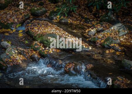 Landschaftlich reizvolle Aussichten entlang der Roaring Fork Falls Tour Road, Gatlinburg, Tennessee. Tolle smokies Mountains. Stockfoto