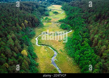 Kleiner gewundener Fluss im Herbst, Luftaufnahme, Polen Stockfoto
