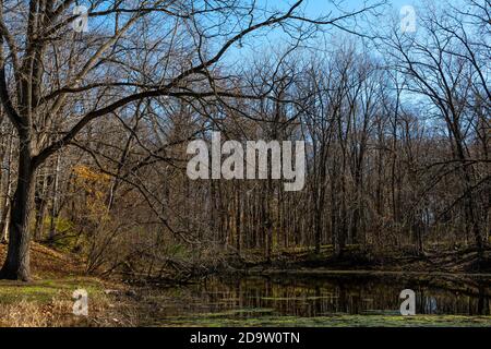 Spätherbst/Herbst Blick über den Teich. Silver Creek State Park, Illinois, USA. Stockfoto