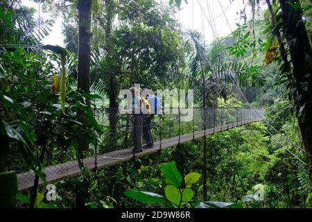 Costa Rica Arenal Volcano National Park - Wandern und Baum Top Walk Stockfoto