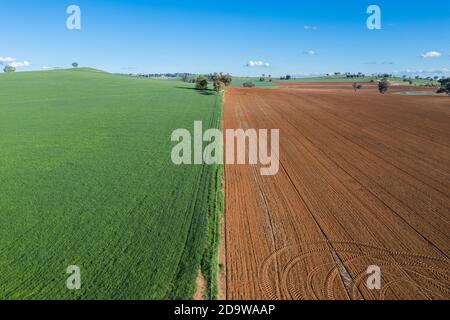 Luftaufnahme von kultiviertem Ackerland bei Cowra im New South Wales Central West. Dieses Land kann sehr produktiv sein, wenn es genug rai gegeben hat Stockfoto