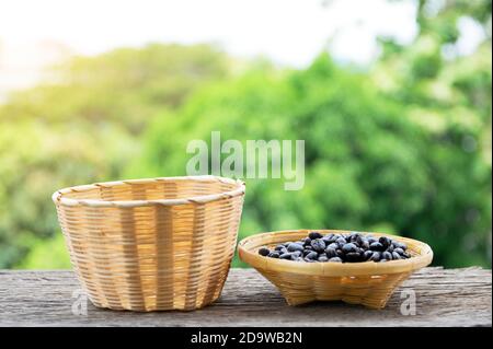 Kaffeebohnen in der Bambusplatte auf dem alten Holzboden mit bunt grünem Naturhintergrund. Stockfoto