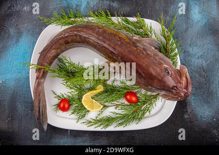 Nahaufnahme Grouper Fisch, Meeresfrüchte, Fisch auf dem Markt, Ansicht von oben Grouper Fisch auf dem Markt. (Lagos Fish). Stockfoto