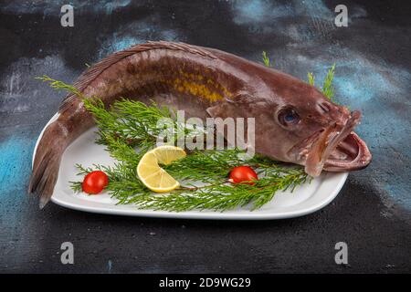 Nahaufnahme Grouper Fisch, Meeresfrüchte, Fisch auf dem Markt, Ansicht von oben Grouper Fisch auf dem Markt. (Lagos Fish). Stockfoto