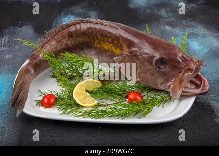 Nahaufnahme Grouper Fisch, Meeresfrüchte, Fisch auf dem Markt, Ansicht von oben Grouper Fisch auf dem Markt. (Lagos Fish). Stockfoto