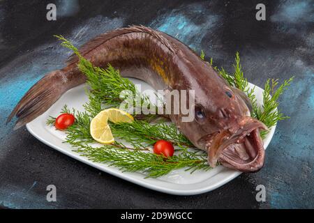 Nahaufnahme Grouper Fisch, Meeresfrüchte, Fisch auf dem Markt, Ansicht von oben Grouper Fisch auf dem Markt. (Lagos Fish). Stockfoto