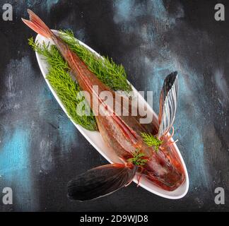 Tub Gurnard (Red Gurnard) Fisch auf einem weißen Teller auf schwarzem Stein Hintergrund. Frische Tub Gurnard Squill Fisch, um eine Fischsuppe vorzubereiten. Stockfoto