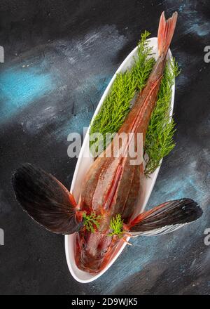 Tub Gurnard (Red Gurnard) Fisch auf einem weißen Teller auf schwarzem Stein Hintergrund. Frische Tub Gurnard Squill Fisch, um eine Fischsuppe vorzubereiten. Stockfoto