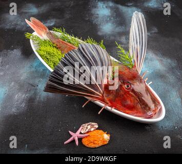 Tub Gurnard (Red Gurnard) Fisch auf einem weißen Teller auf schwarzem Stein Hintergrund. Frische Tub Gurnard Squill Fisch, um eine Fischsuppe vorzubereiten. Stockfoto