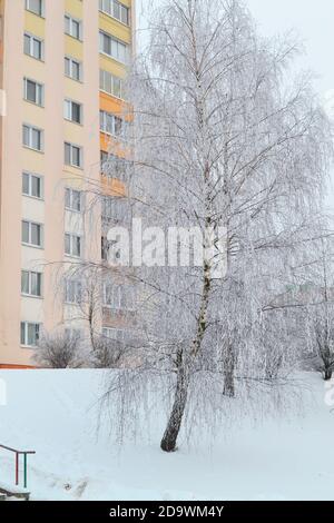 Blick durch verschneite Bäume auf einer Winterstadt, vertikales Bild Stockfoto