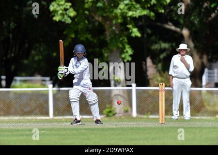 November 2020. Benalla Bushrangers Over Sixties / Wodonga. Stockfoto