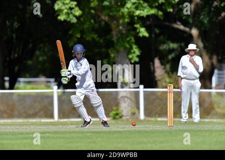 November 2020. Benalla Bushrangers Over Sixties / Wodonga. Stockfoto