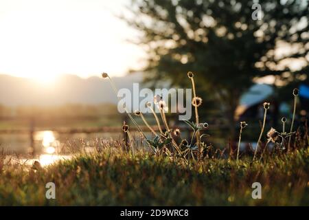 Die Landschaft des Lam Taphoen Stausees bei Sonnenaufgang in der Suphan Buri Provinz, Thailand Stockfoto