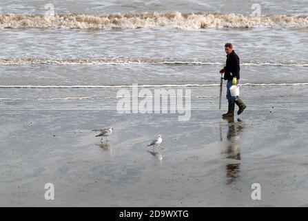 Mann Köder Graben am nassen Strand bei Ebbe in Ostengland. Yorkshire. Stockfoto