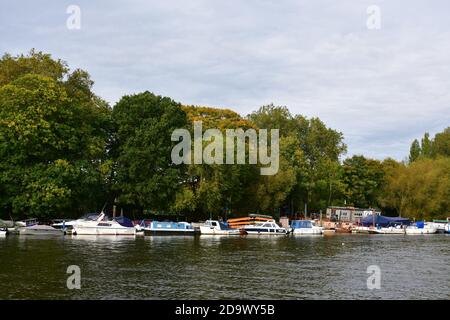 Boote auf der Themse in Richmond upon Thames, Greater London, Großbritannien Stockfoto
