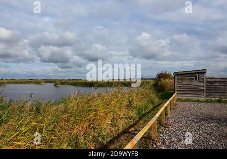 Vogelschutzgebiet und Covid-sicherer Aussichtspunkt über einen See im Otmoor Nature Reserve, Oxfordshire, Großbritannien Stockfoto