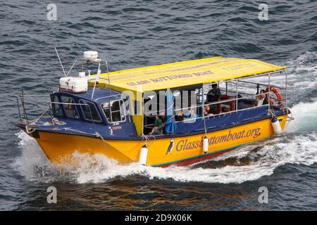 Tourist Wildlife Viewing Bootsfahrt, Schottland, Großbritannien. Stockfoto