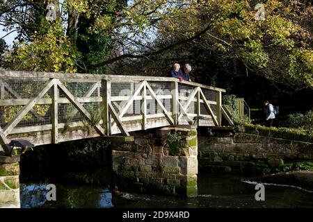 Fußgängerbrücke über den Fluss Avon im Herbst in Saxon Mill, Warwick, Warwickshire, England, Großbritannien Stockfoto