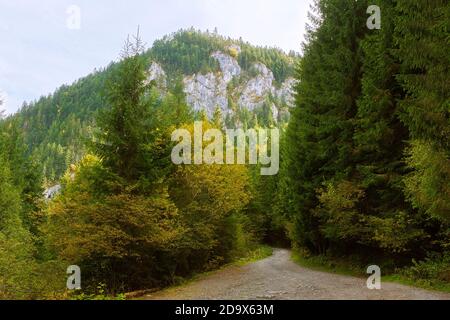 Bergstraße im Naturpark Apuseni, Aufnahme im Herbst Stockfoto