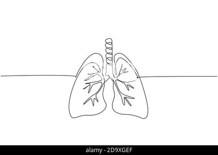 Eine kontinuierliche Linienzeichnung des anatomischen menschlichen Lungenorgans. Dynamisches medizinisches internes Anatomiekonzept. Grafik-Design-Vektor mit einer Linie zeichnen Stock Vektor