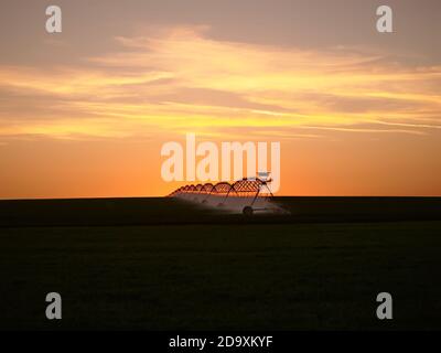 Center Pivot Bewässerungssystem auf dem Feld bei Sonnenuntergang Stockfoto
