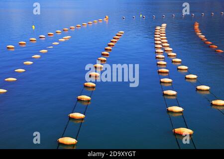 Muschelfarm. Wachsende Muscheln, Seilkultur. Montenegro, Adria, Kotor Bucht Stockfoto