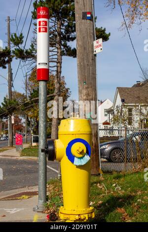 Eine Bushaltestelle der Toronto Transit Commission (TTC) in Etobicoke (Toronto), Ontario, Kanada auf der Kipling Avenue. Auf dem Hydranten befindet sich eine Gesichtsmaske. Stockfoto