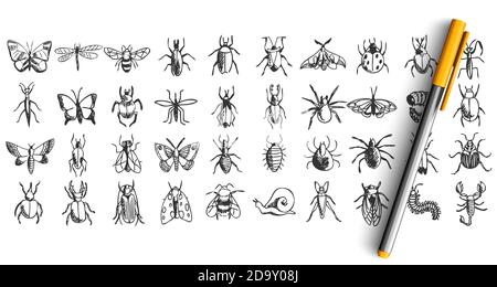 Insekten Doodle Set Stock Vektor