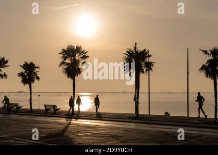 Southend on Sea, Essex, Großbritannien. November 2020. Der Erinnerungssonntag ist hell, aber trübe angebrochen, und viele Menschen nutzen die Gelegenheit, während der zweiten COVID 19-Sperre an der Küste von Southend on Sea zu trainieren. Silhouette von Menschen und Palmen Stockfoto