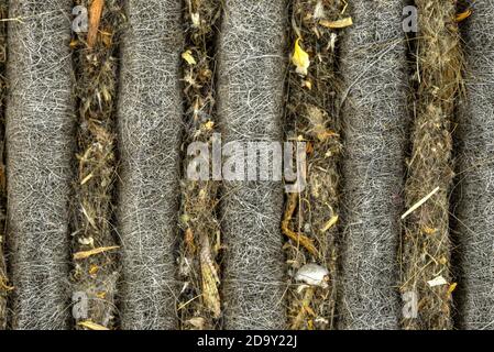 Makroaufnahme eines gebrauchten und schmutzigen Kohlefilters in der Kabine, sichtbare Blätter und Schmutz. Stockfoto